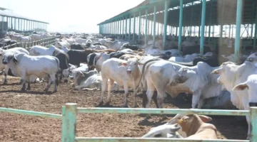 الحكومة تُطلق برنامج دعم تمويل المشاريع الصغيرة دون الحاجة لرأس المال للراغبين في تحقيق أرباح مستدامة